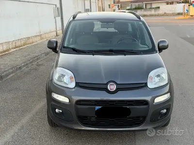 Usata Fiat Panda Lounge 69 CV (50 kW) 2018 Grigio Utilitaria