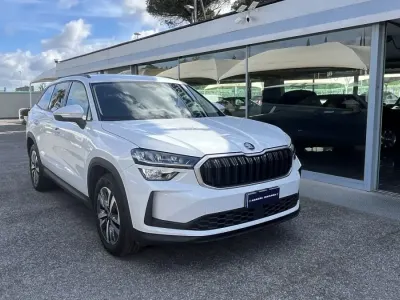 Occasion Skoda Kodiaq