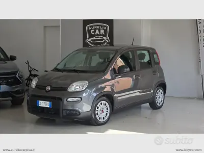 Usata Fiat Panda City Life 70 CV (51 kW) 2023 Grigio Utilitaria