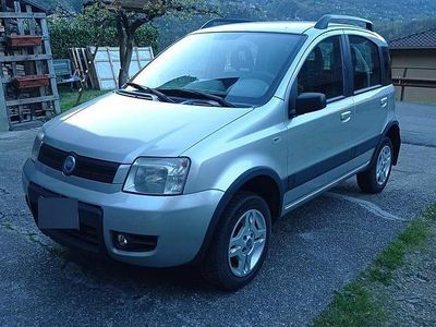 Usata Fiat Panda 4x4 69 CV (50 kW) 2006 Grigio Utilitaria