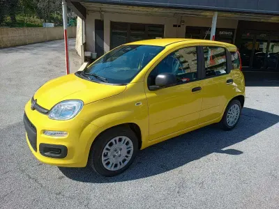 Nuova Fiat Panda Pop 69 CV (50 kW) 2026 Giallo Utilitaria