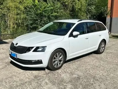 Usata Skoda Octavia