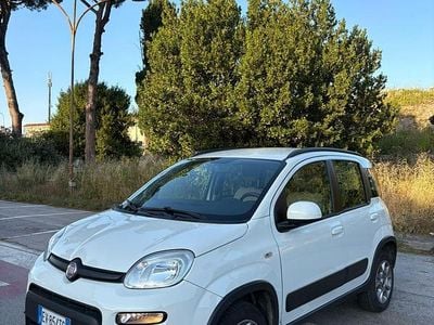 Usata Fiat Panda 4x4 75 CV (55 kW) 2014 Bianco Utilitaria