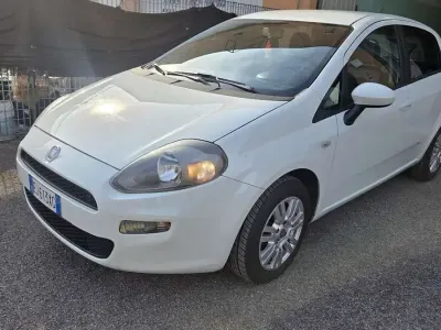 Usata Fiat Punto Lounge 69 CV (50 kW) 2012 Bianco Utilitaria