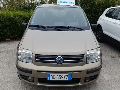 Usado Fiat Panda Dynamic 60 CV (44 kW) 2007 Beige Utilitario