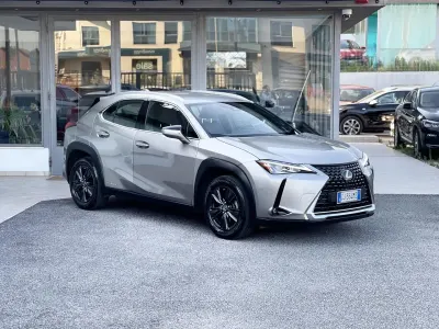 Usata Lexus UX 152 CV (111 kW) 2022 Grigio SUV