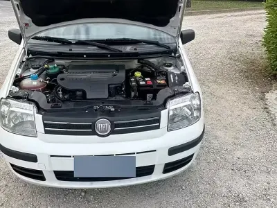 Usata Fiat Panda 70 CV (51 kW) 2009 Bianco Utilitaria