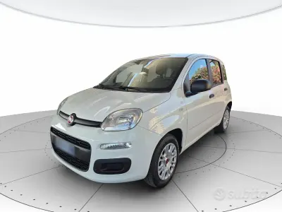 Usata Fiat Panda Easy 69 CV (50 kW) 2019 Bianco Utilitaria