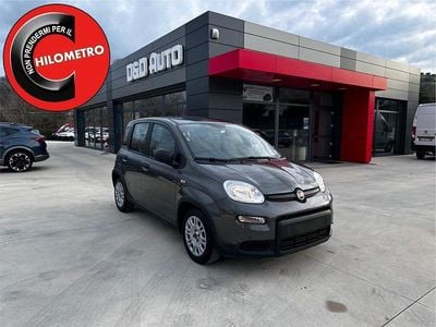 Usata Fiat Panda S 70 CV (51 kW) 2022 Grigio Berlina