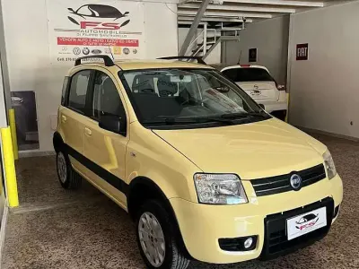 Usata Fiat Panda 4x4 Climbing 60 CV (44 kW) 2005 Other Utilitaria
