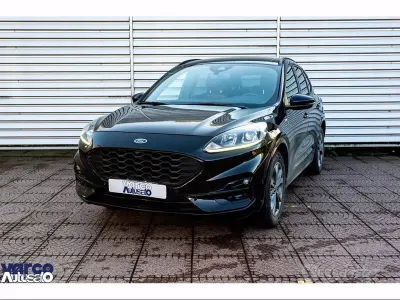 Usata Ford Kuga ST-Line 225 CV (165 kW) 2023 Nero SUV
