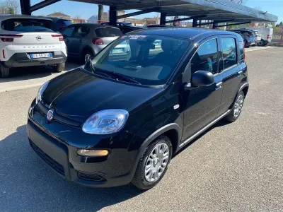 Usata Fiat Panda S 69 CV (50 kW) 2024 Nero Utilitaria