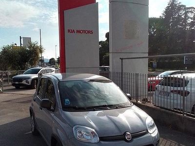 Usata Fiat Panda S 71 CV (52 kW) 2022 Grigio Utilitaria