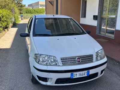 Usata Fiat Punto Active 60 CV (44 kW) 2009 Bianco Utilitaria