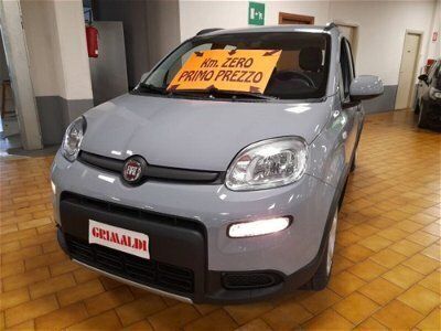 usata Fiat Panda Cross 1.0 FireFly S&S Hybrid City nuovo