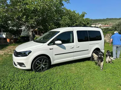 Usata VW Caddy 150 CV (110 kW) 2020 Bianco Monovolume