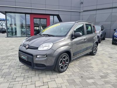 usata Fiat Panda Cross 1.0 FireFly S&S Hybrid City del 2022 usata a Pianezza