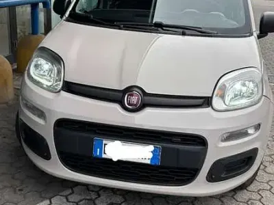 Usata Fiat Panda Trekking 80 CV (58 kW) 2015 Utilitaria