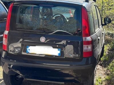 Usata Fiat Panda