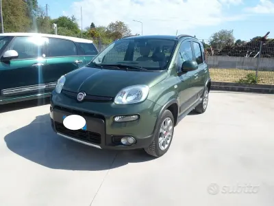 Usata Fiat Panda 4x4 S 75 CV (55 kW) 2015 Verde Utilitaria