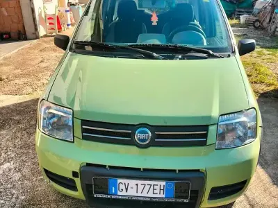 Usata Fiat Panda 4x4 Climbing 69 CV (50 kW) 2006 Verde Utilitaria