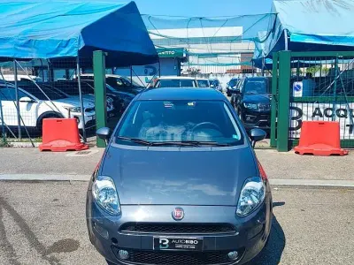 Usata Fiat Punto Easy 95 CV (69 kW) 2017 Grigio Utilitaria