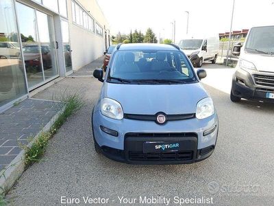 Usata Fiat Panda City Life 69 CV (50 kW) 2022 Grigio silverstone Utilitaria