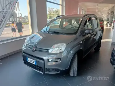 Usata Fiat Panda 4x4 S 85 CV (62 kW) 2020 Grigio Utilitaria