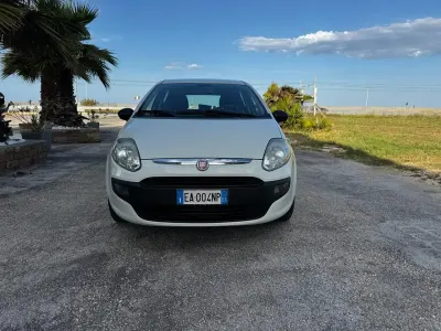 Usata Fiat Punto Evo 75 CV (55 kW) 2010 Bianco Utilitaria