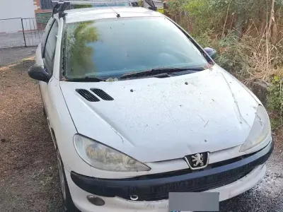 Usata Peugeot 206