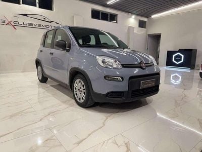 Usata Fiat Panda