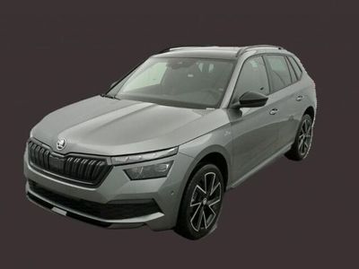 usata Skoda Kamiq 1.0 TSI 110 CV 1.0 TSI 110 CV DSG Monte Carlo