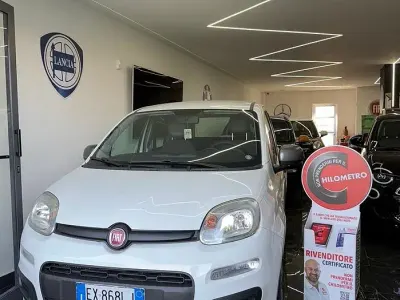 Usata Fiat Panda Young 80 CV (58 kW) 2015 Bianco Utilitaria