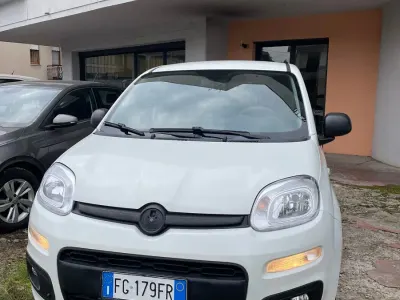 Usata Fiat Panda 4x4 80 CV (58 kW) 2016 Utilitaria