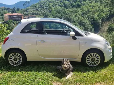 Usata Fiat 500