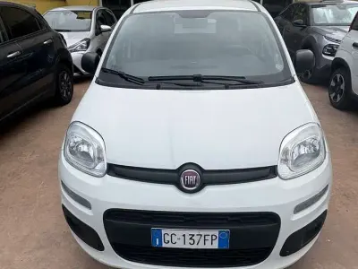 Usata Fiat Panda Easy 69 CV (50 kW) 2020 Bianco Utilitaria