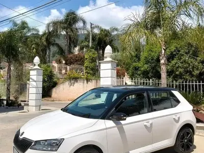 Usata Skoda Fabia