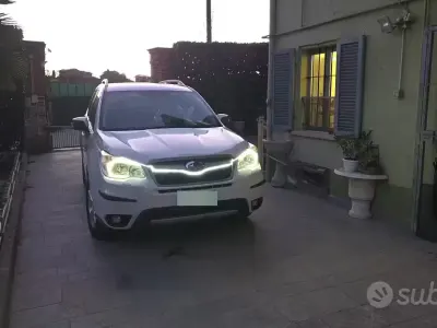 Usata Subaru Forester 147 CV (108 kW) 2014 SUV