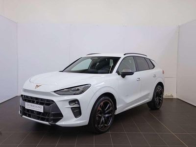 Usata Cupra Terramar 204 CV (150 kW) 2025 Bianco nevada SUV