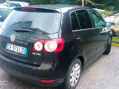 usata VW Golf Plus Golf Plus 1.6 Comfortline