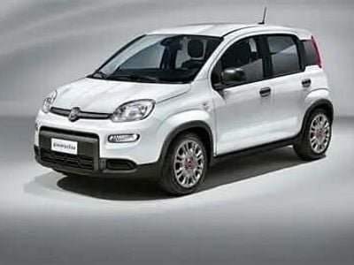 Usata Fiat Panda S 69 CV (50 kW) 2021 Bianco Utilitaria