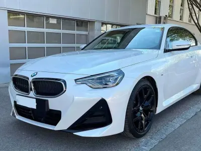 Usata BMW 220