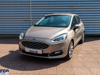 Usata Ford Fiesta Vignale 101 CV (74 kW) 2018 Grigio metallizzato Utilitaria