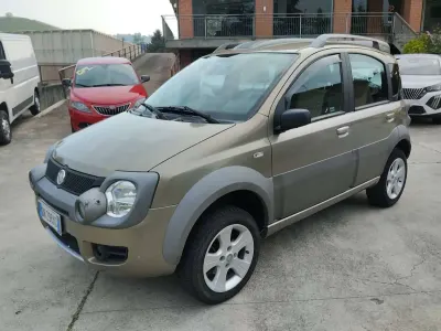 Usata Fiat Panda 4x4 Cross 69 CV (50 kW) 2008 Beige Utilitaria