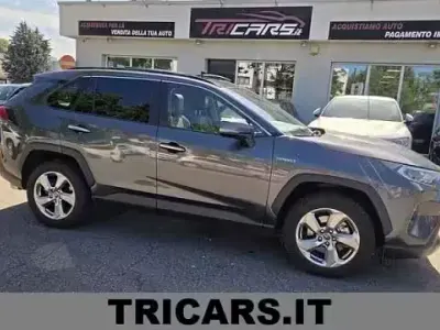 Usata Toyota RAV4 Hybrid Lounge 178 CV (130 kW) 2020 Grigio SUV