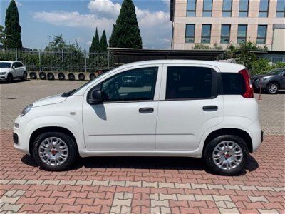 usata Fiat Panda 4x4 1.3 MJT Pop Van 2 posti usato