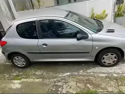 Usata Peugeot 206