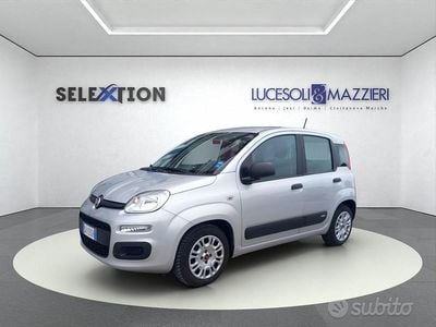 Usata Fiat Panda Easy 2020 Grigio Utilitaria