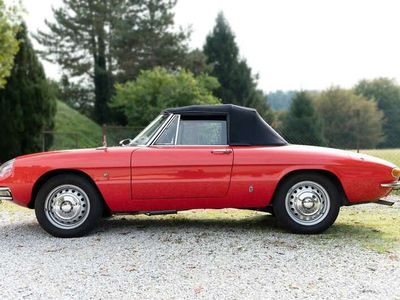 Alfa Romeo Spider