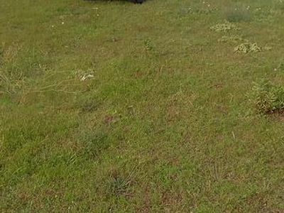 Usata Suzuki Vitara 75 CV (55 kW) 1992 Rosso SUV